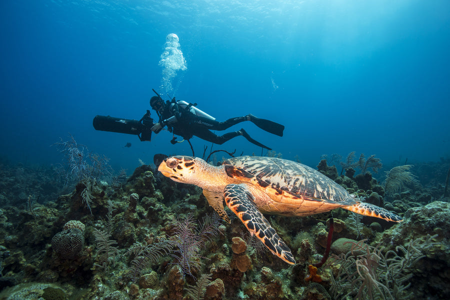 Dive Add-on - Nitrox Cylinder Rental