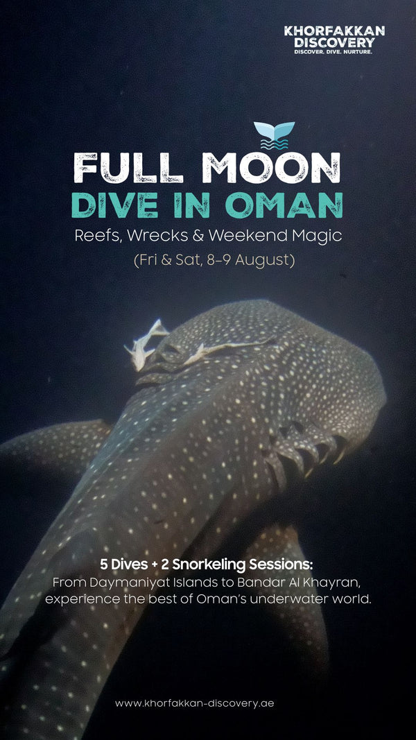 Oman Dive Weekend: Full Moon, Reefs & Wrecks