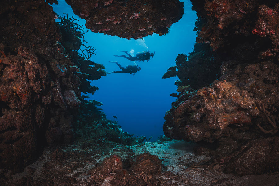 Dive Trip (Two Dives with Tanks and Weights Only)