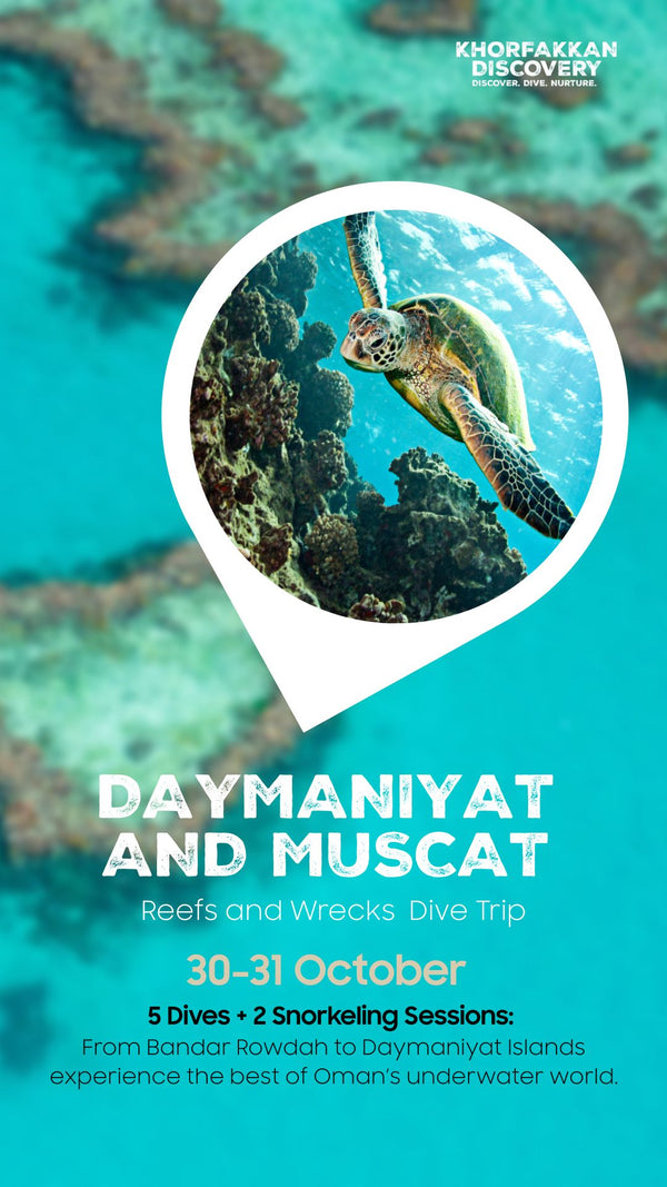 Oman Dive Trip: Reefs & Wrecks
