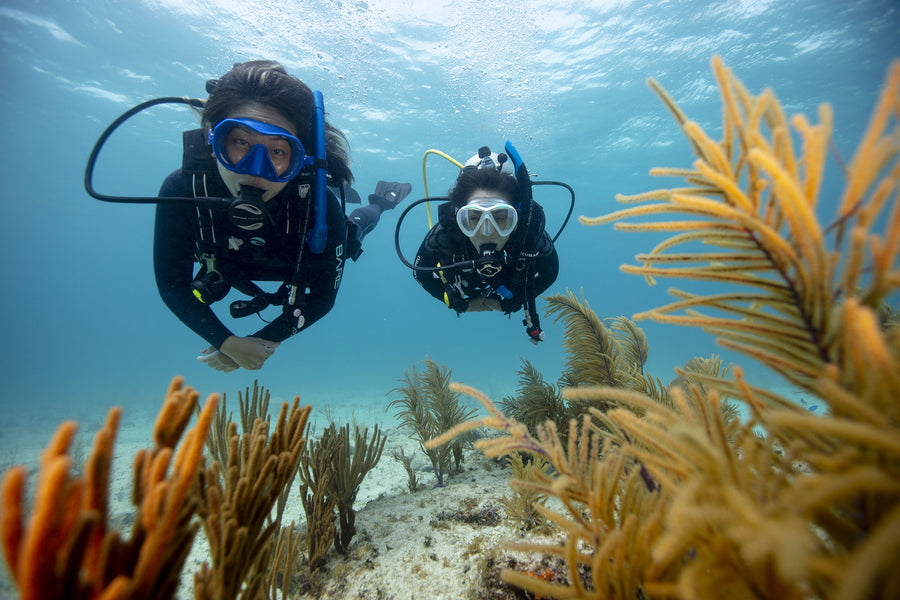 Dive Trip (Two Dives with full equipment)